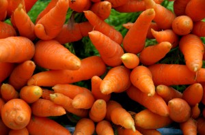 The Joy of Carrots!